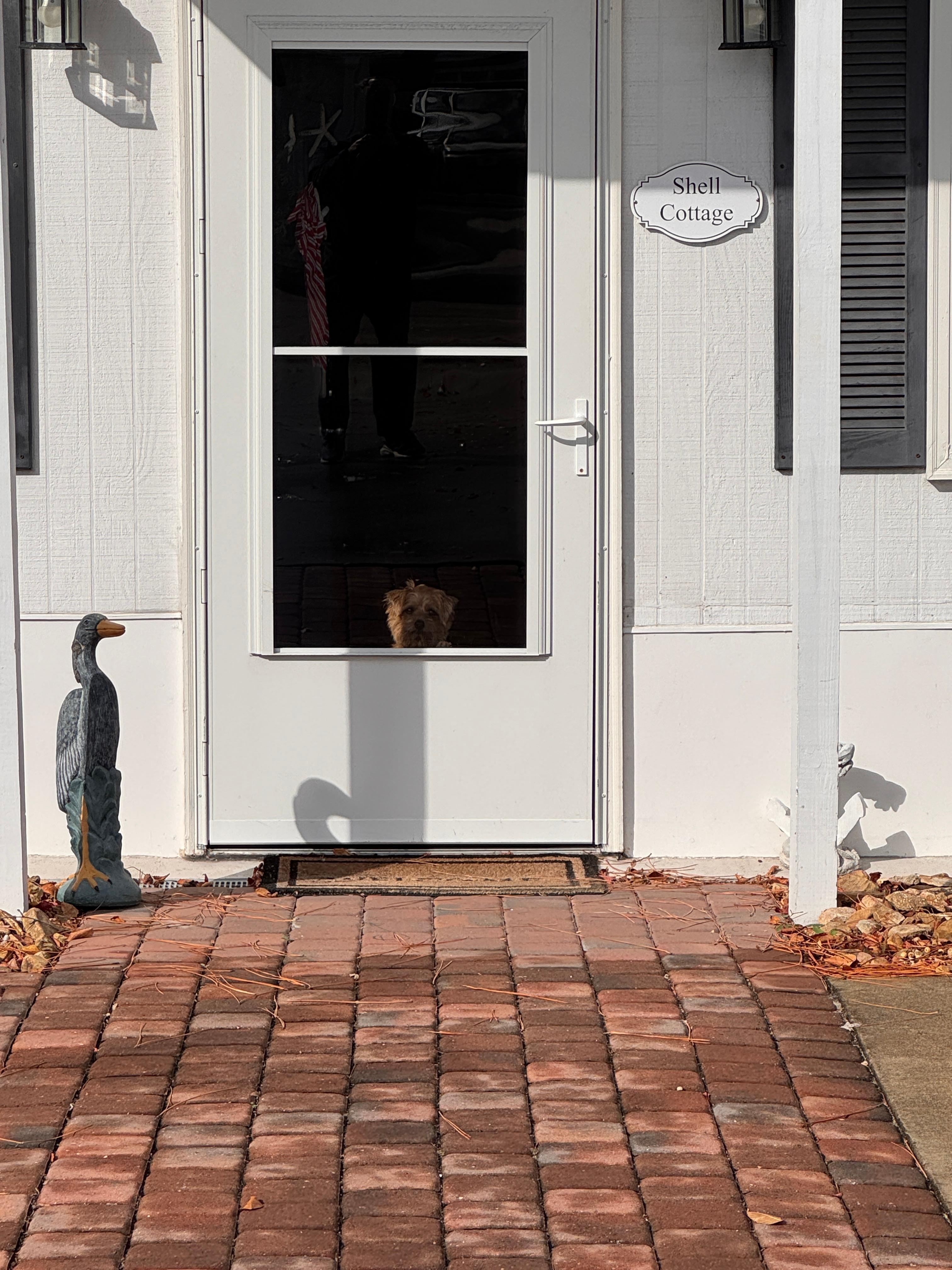 Our little one liked looking out the front door and loved the park across the street!