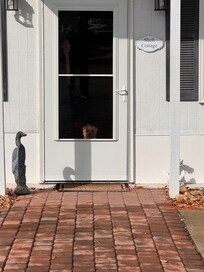 Our little one liked looking out the front door and loved the park across the street!
