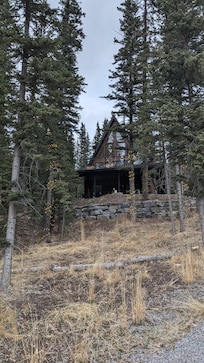 Tucked away in the trees, very private, only one other cabin is close.