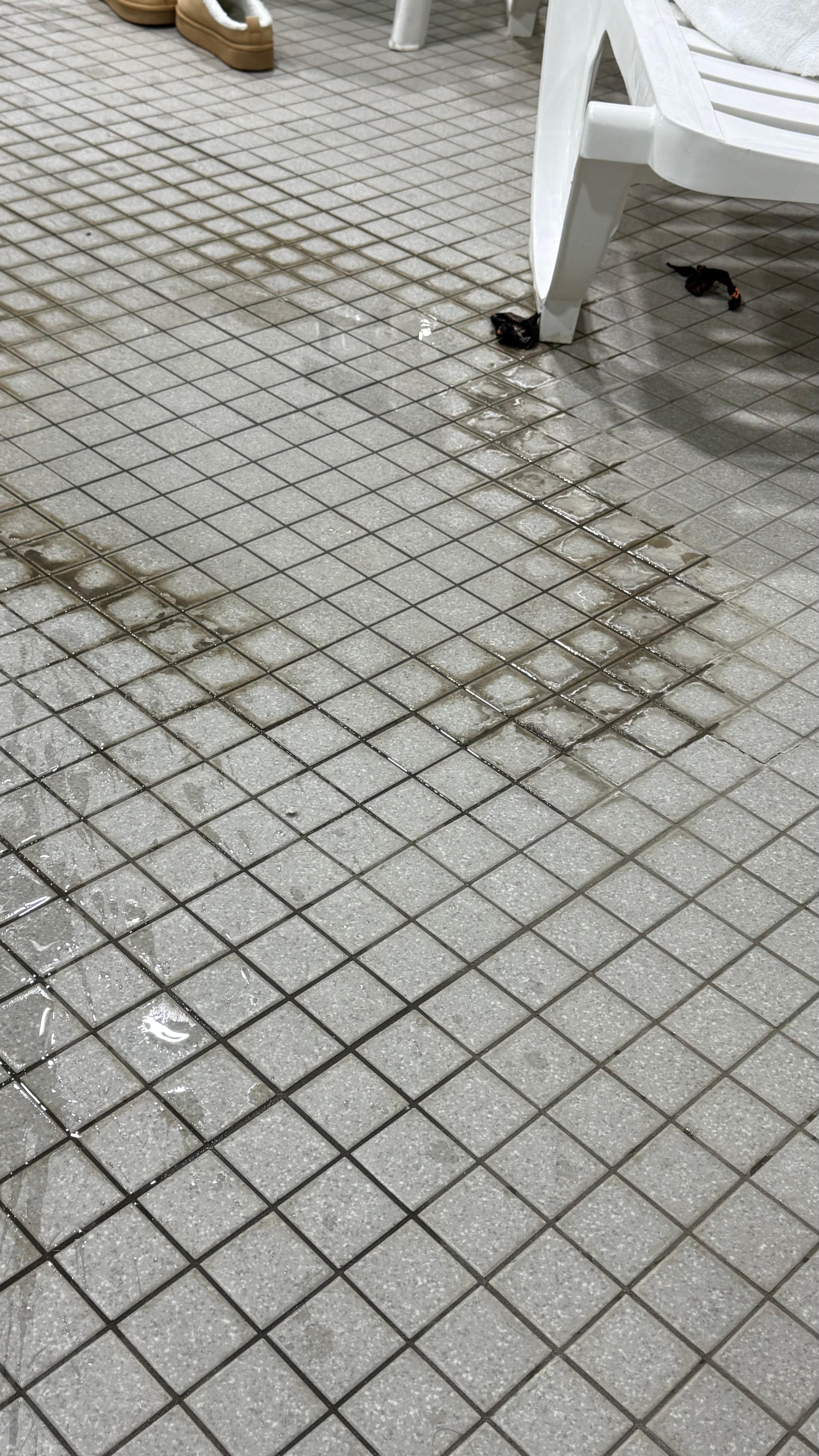 Pool Floor - needed to be scrubbed and cleaned  