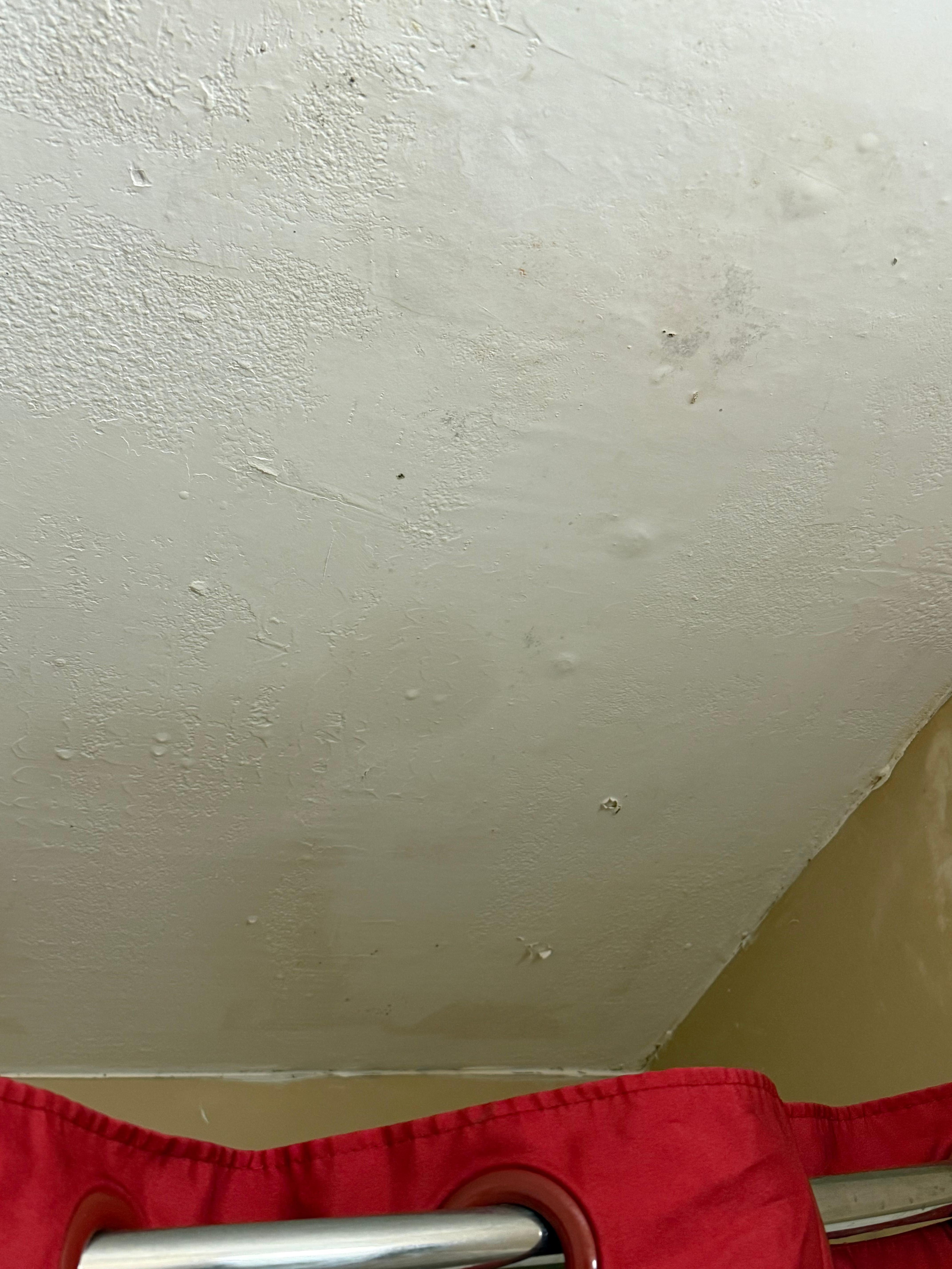Peeling paint and mold on ceiling 