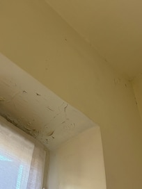Deteriorated by humid and not maintained