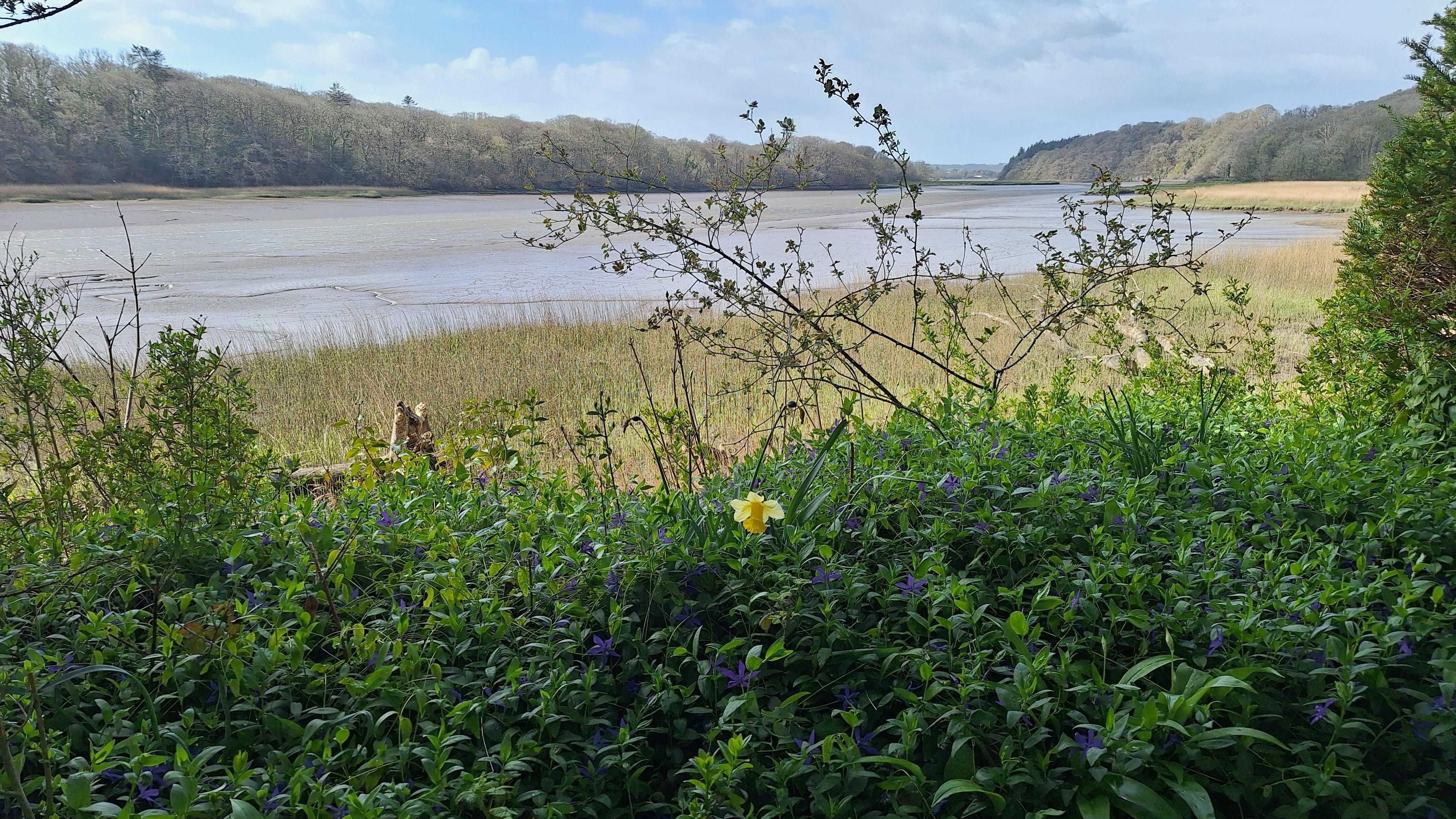 Photos of the estuary from the grounds