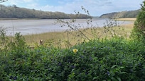 Photos of the estuary from the grounds