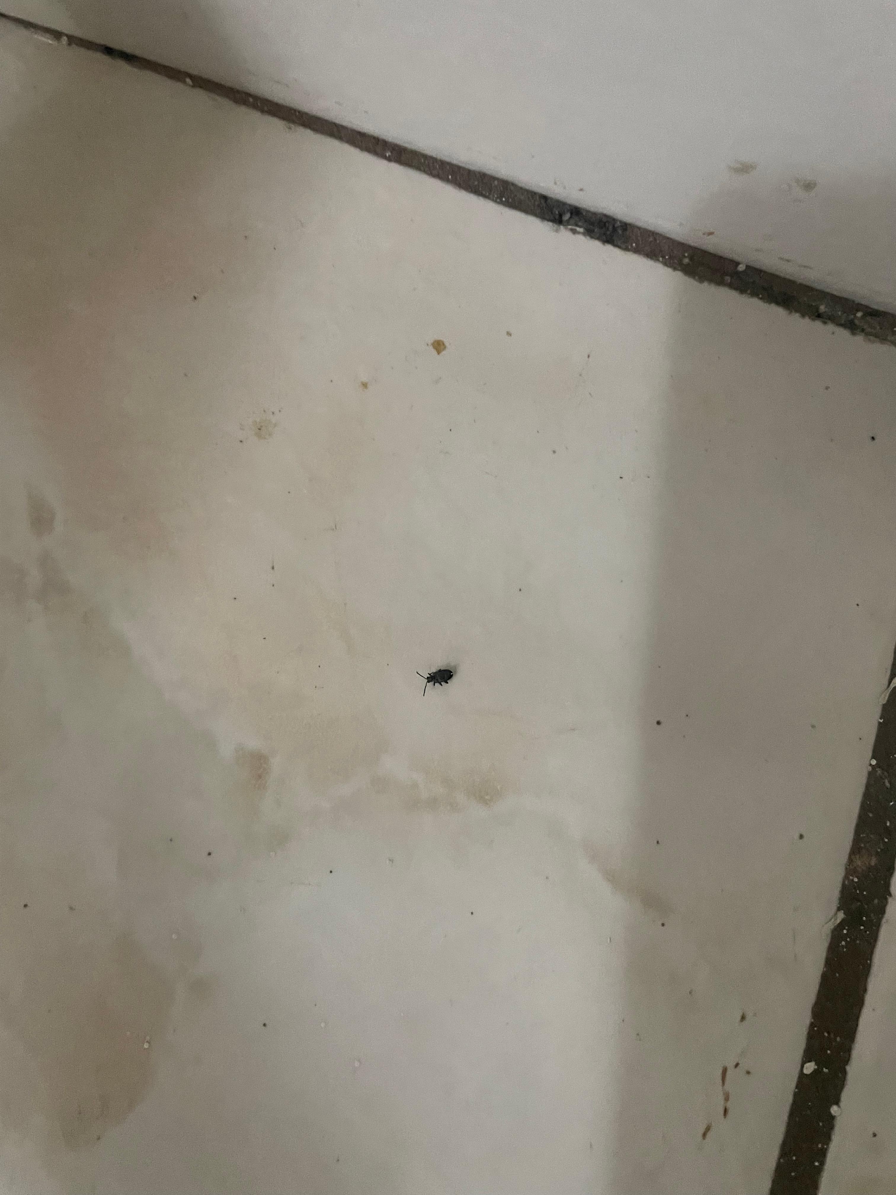 This one was near the bed