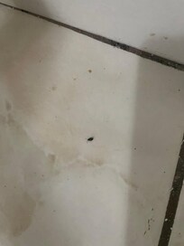 This one was near the bed