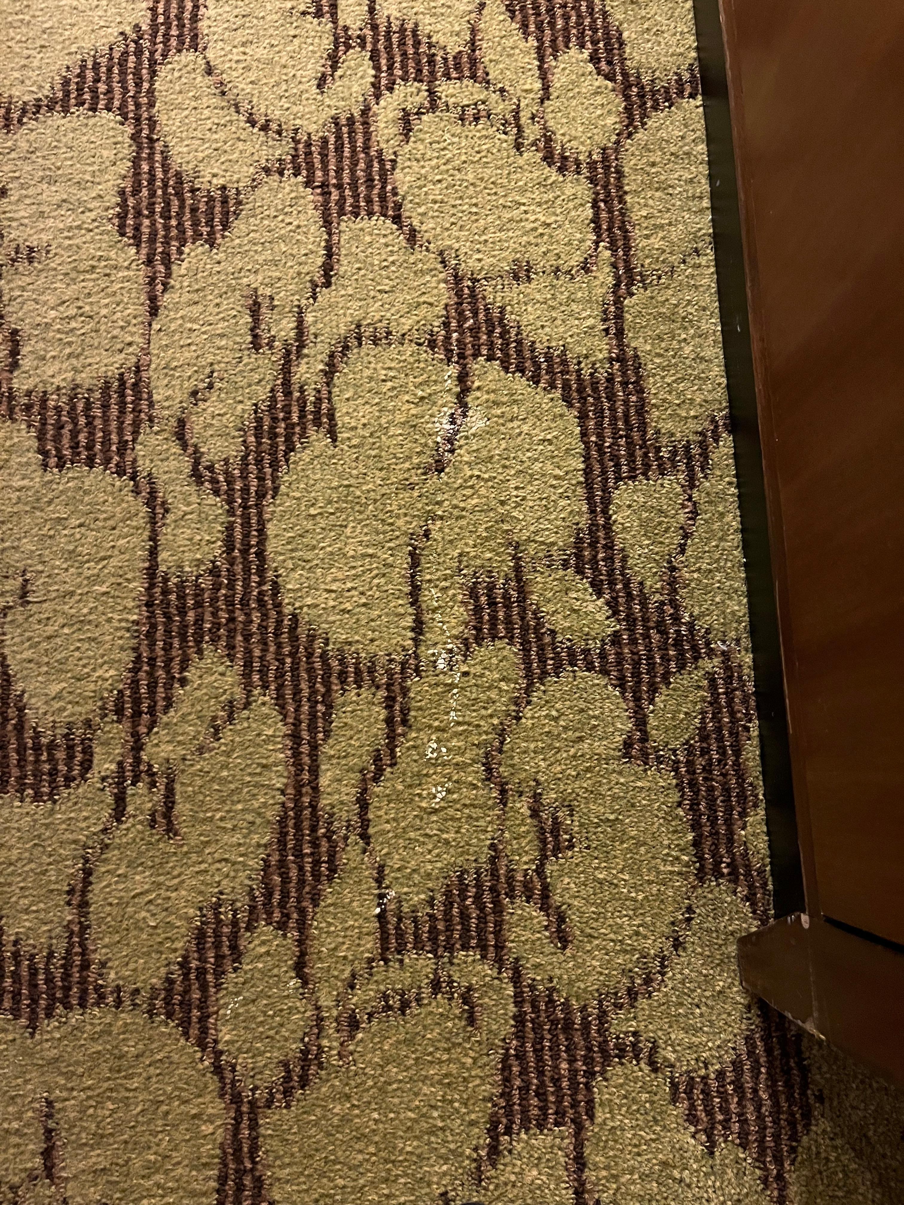 Foot long crusty “spill” in front of the tv. 