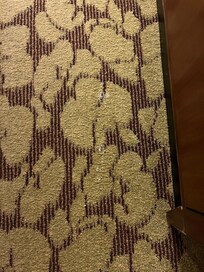 Foot long crusty “spill” in front of the tv.