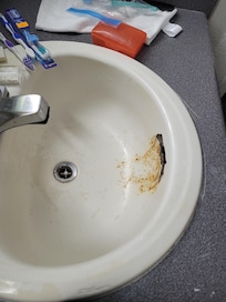 Sink was so gross