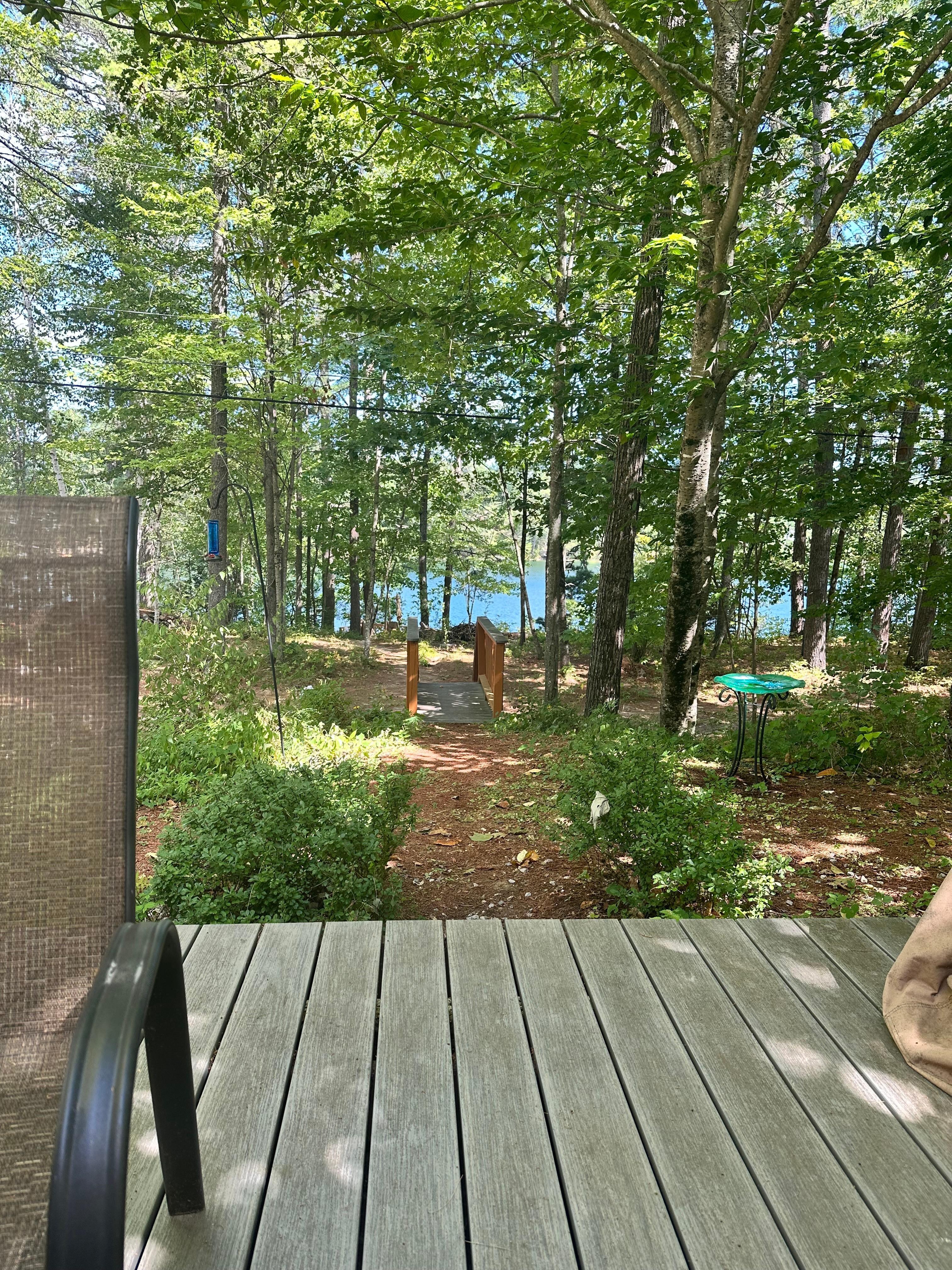 View from cabin towards private pond 