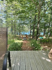 View from cabin towards private pond