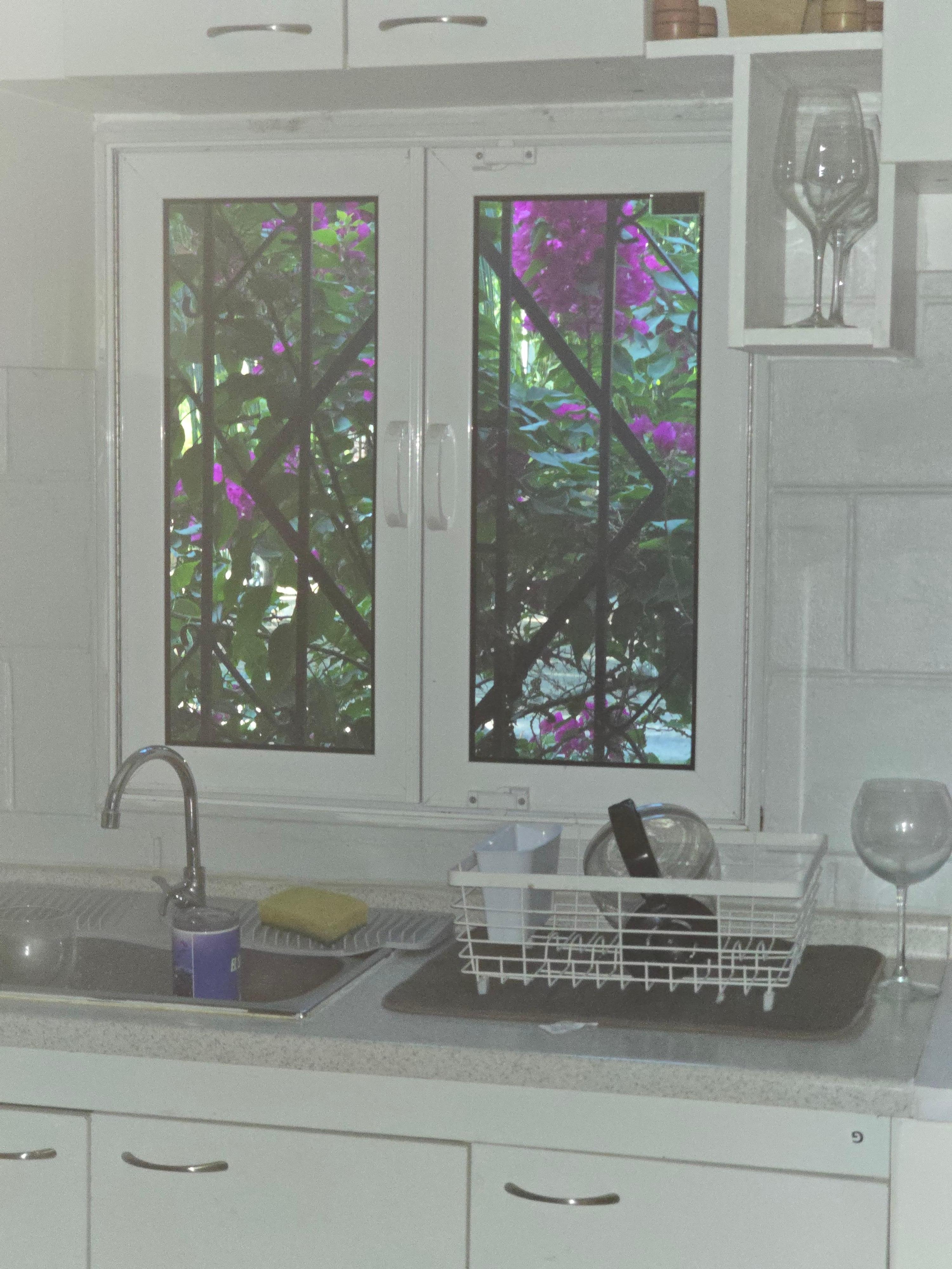 I loved the kitchen window with beautiful flowers.