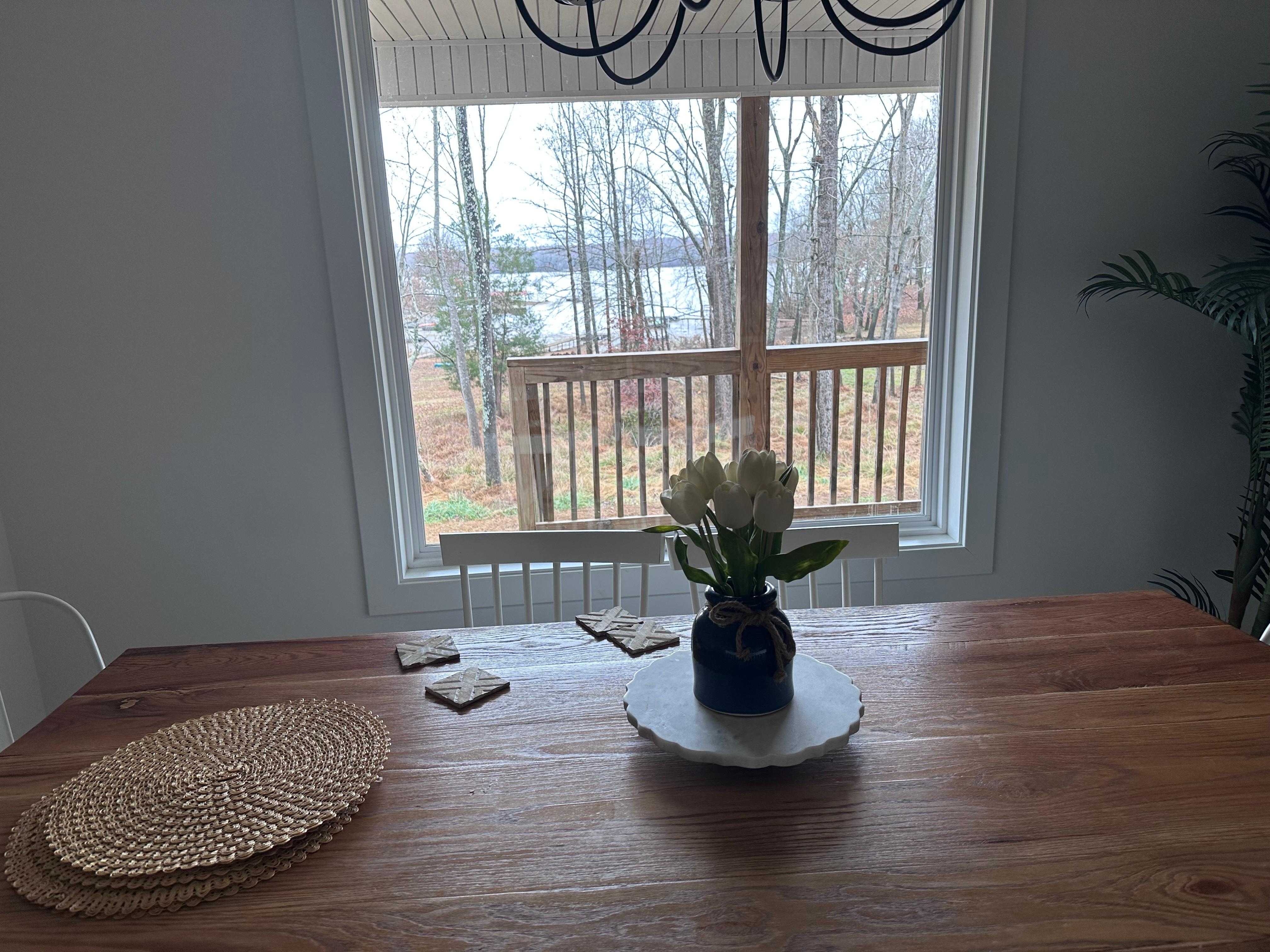 View from dining table