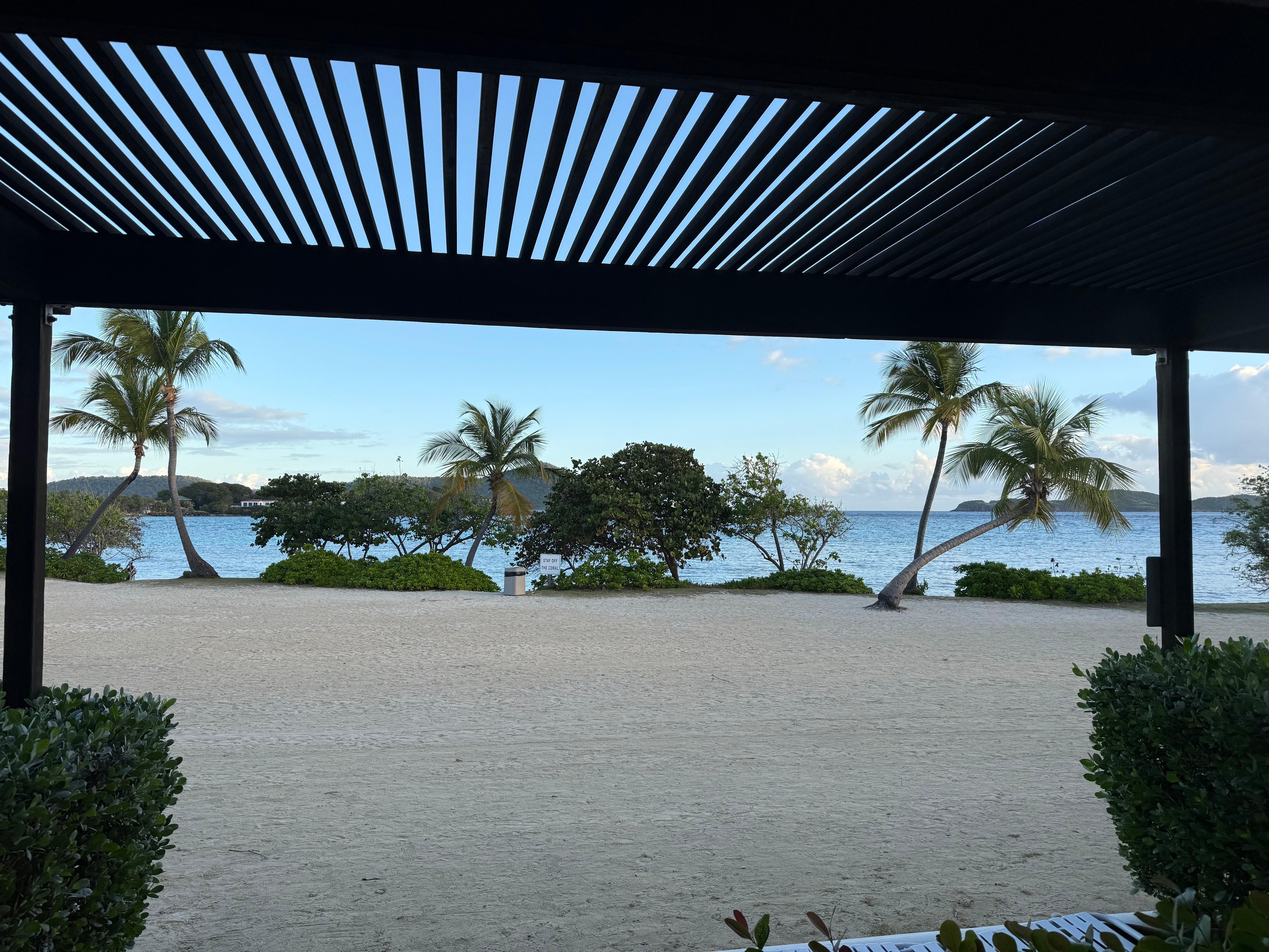 The view from the patio