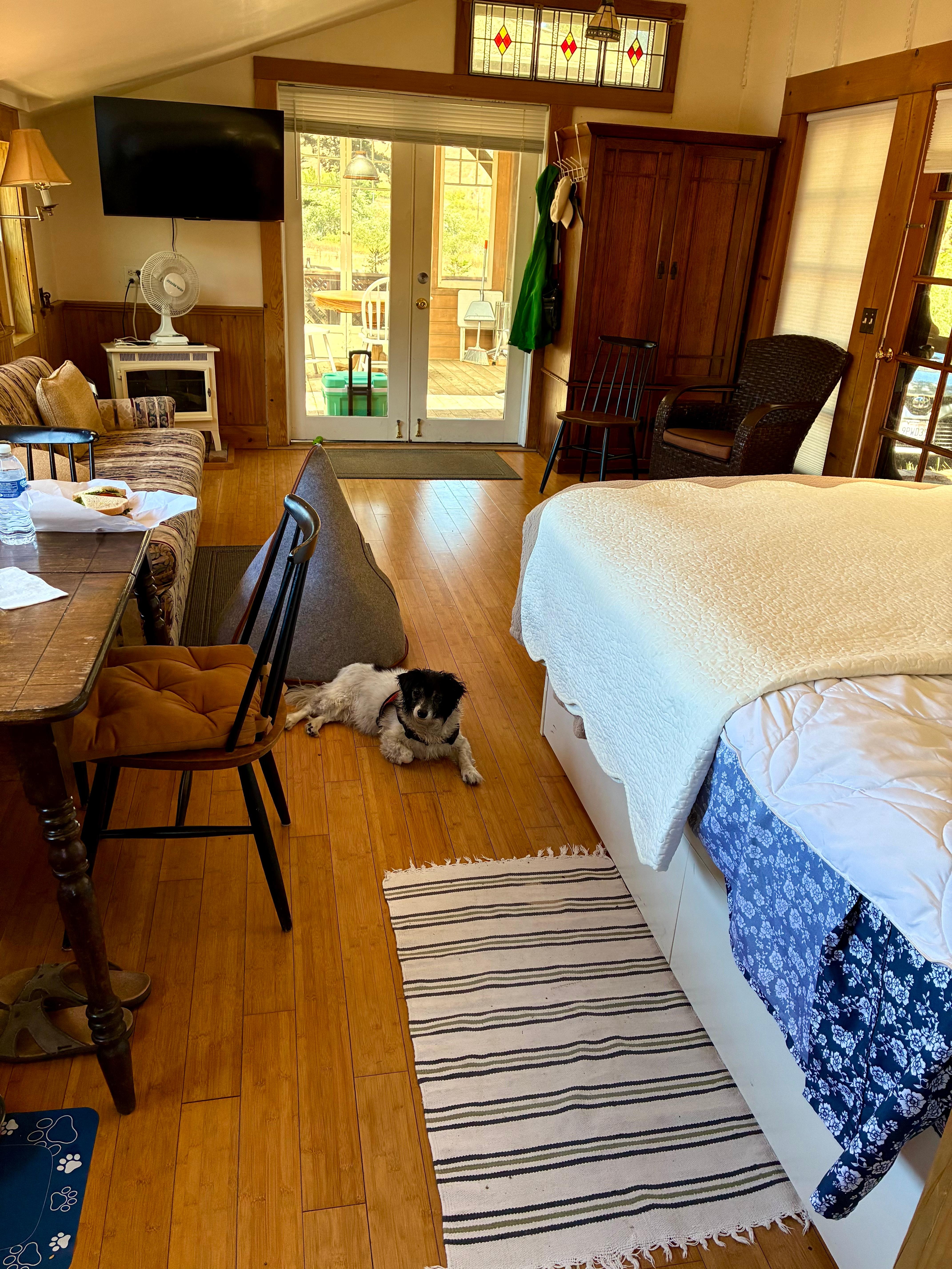 Clean and Comfortable Studio.