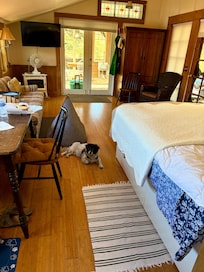 Clean and Comfortable Studio.