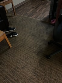 Carpet
