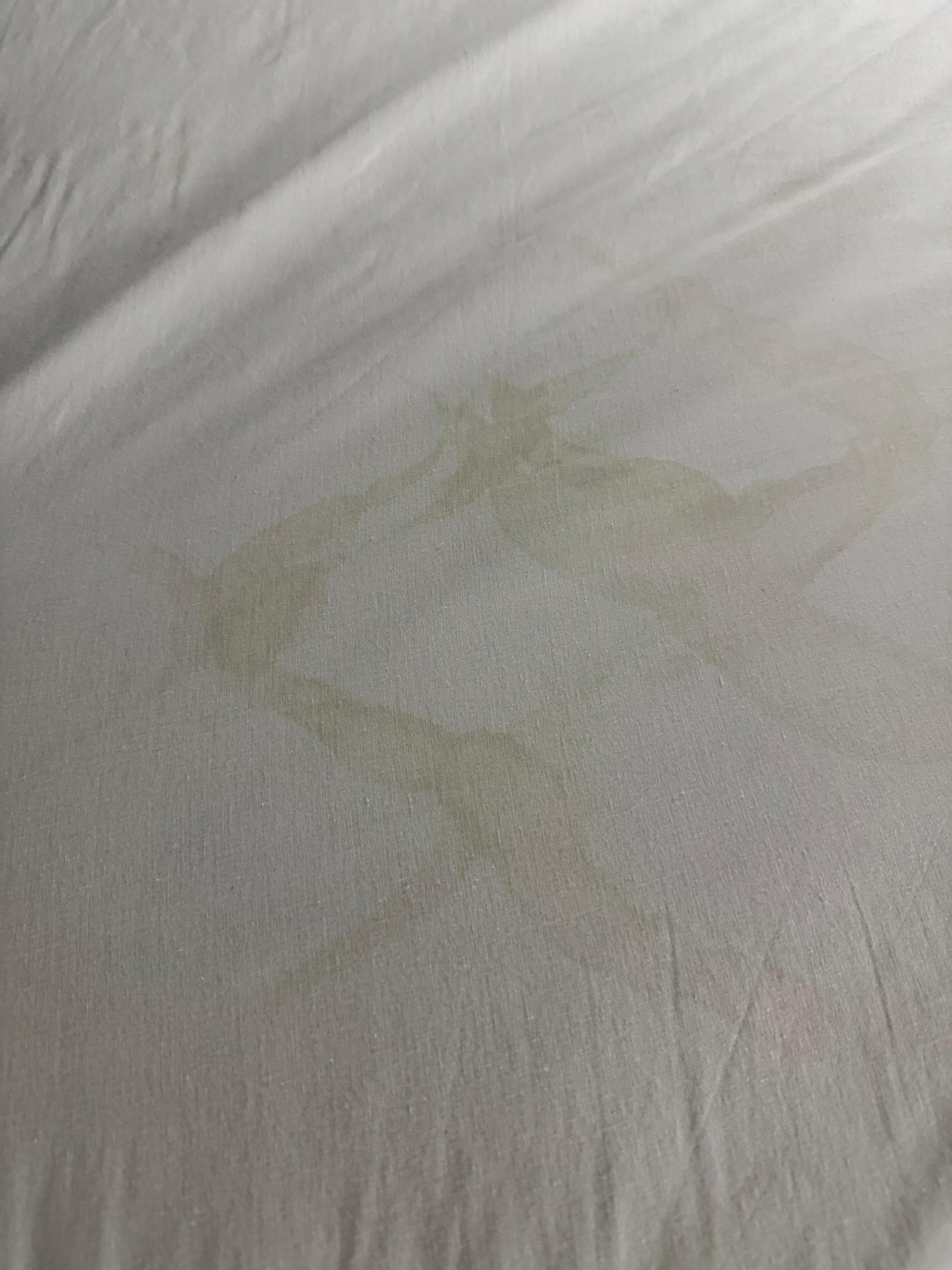 Urine/body fluids wicked up from wet mattress 