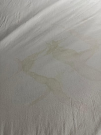 Urine/body fluids wicked up from wet mattress