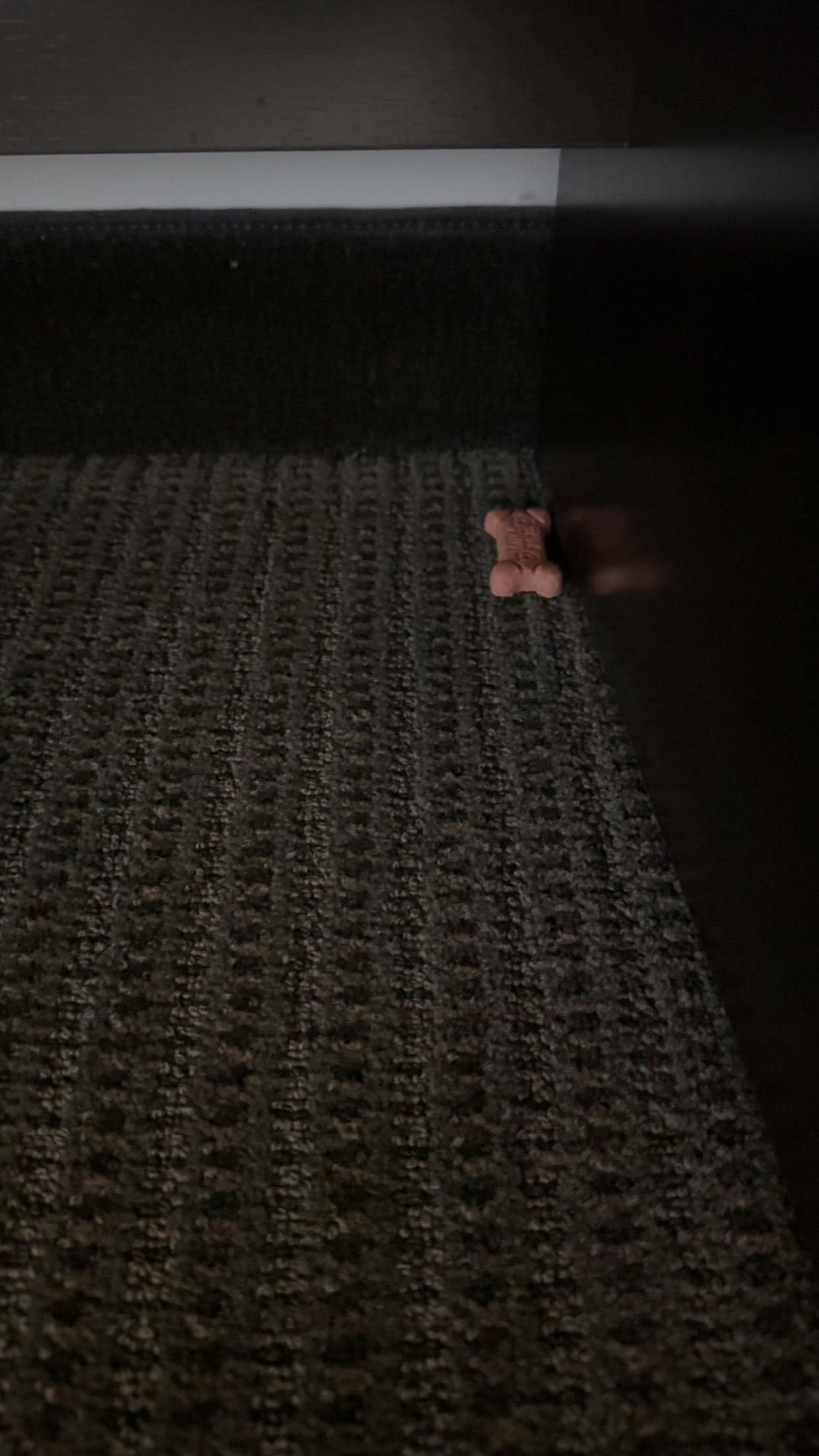 Dog bone under the table.