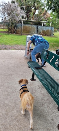 Dog park