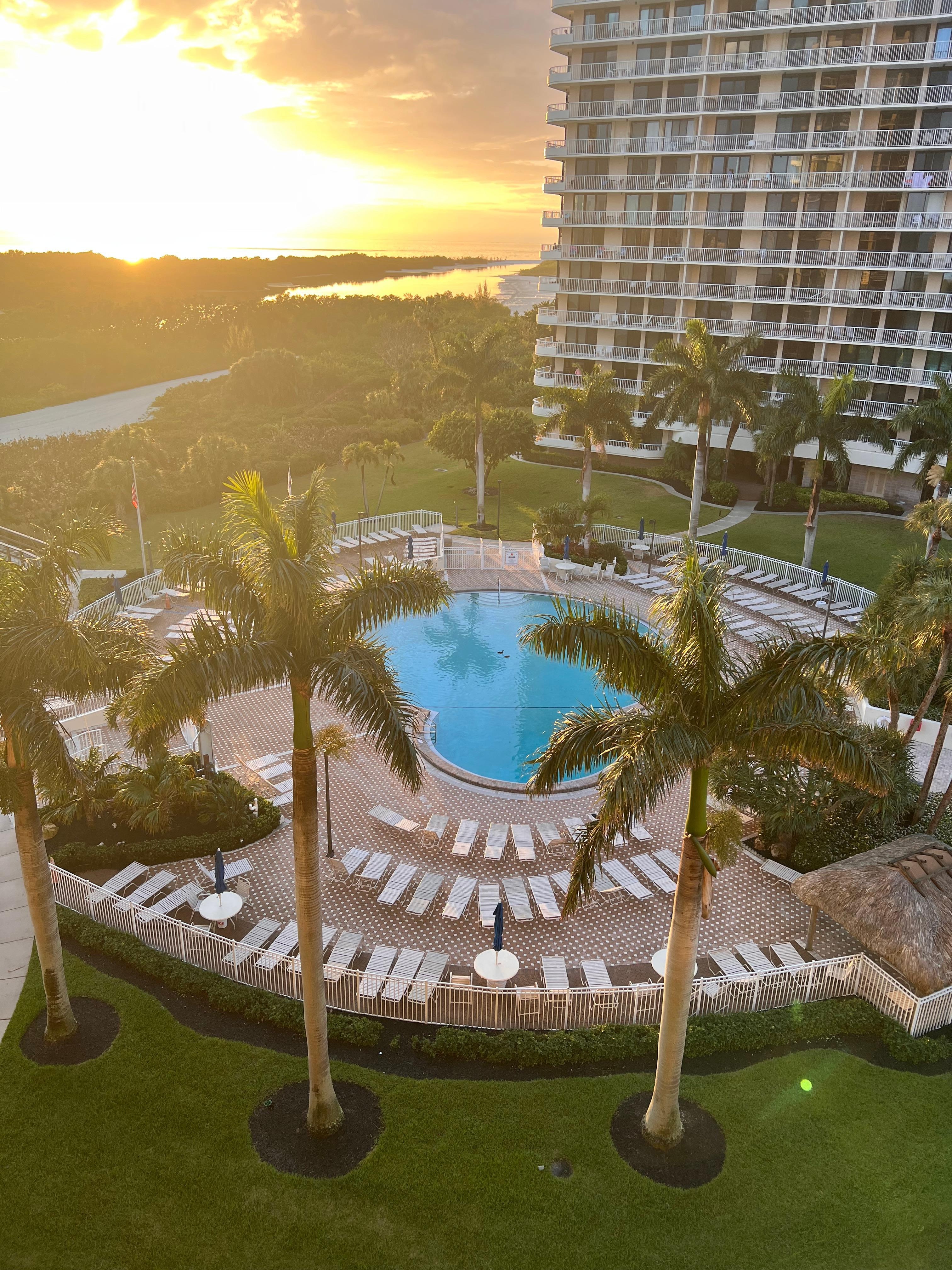 Pool view from the balcony