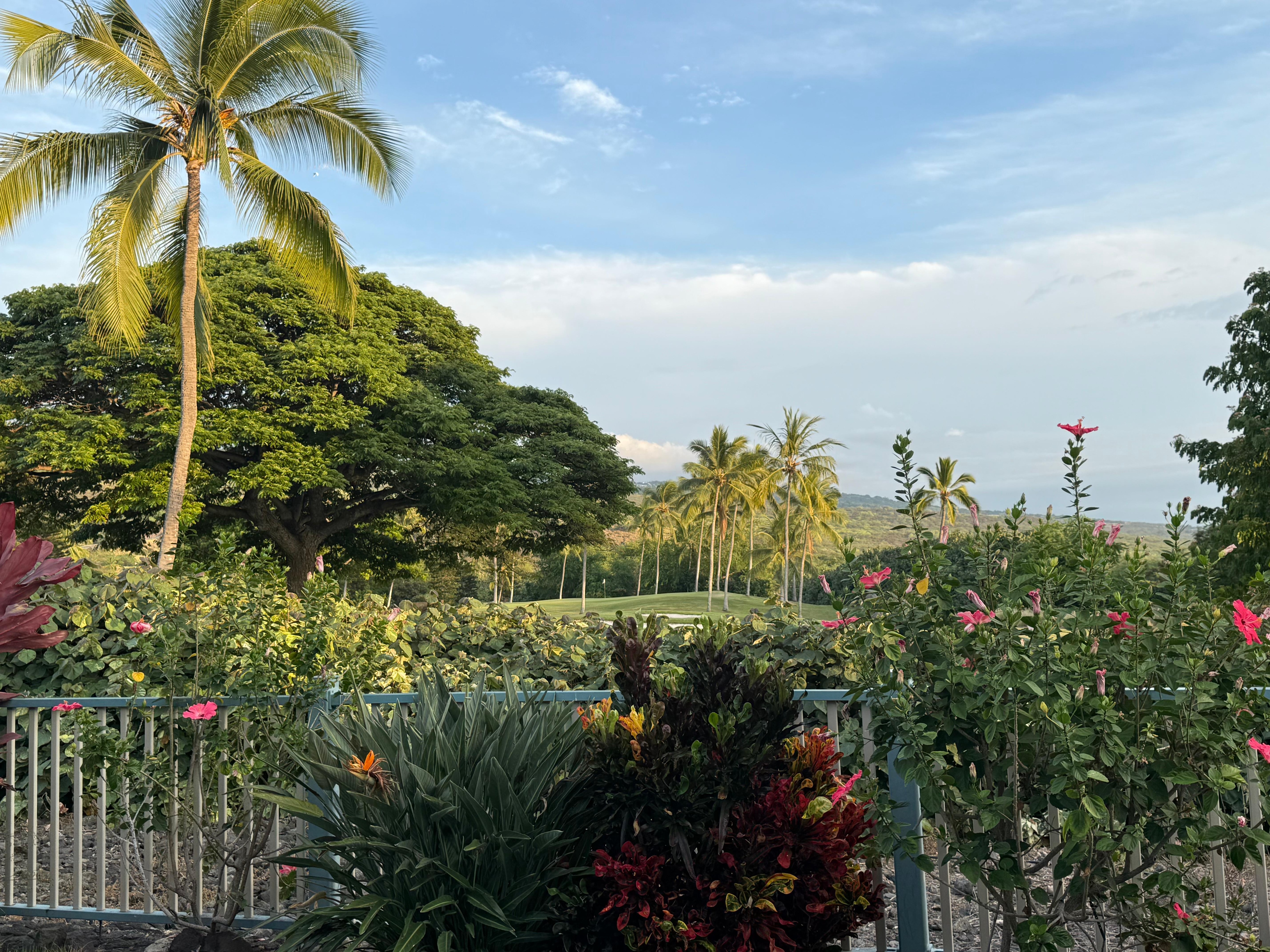 Loved the view from the pool and hot tub. Even better at night when the stars are shining. Neighborhood community is fantastic.