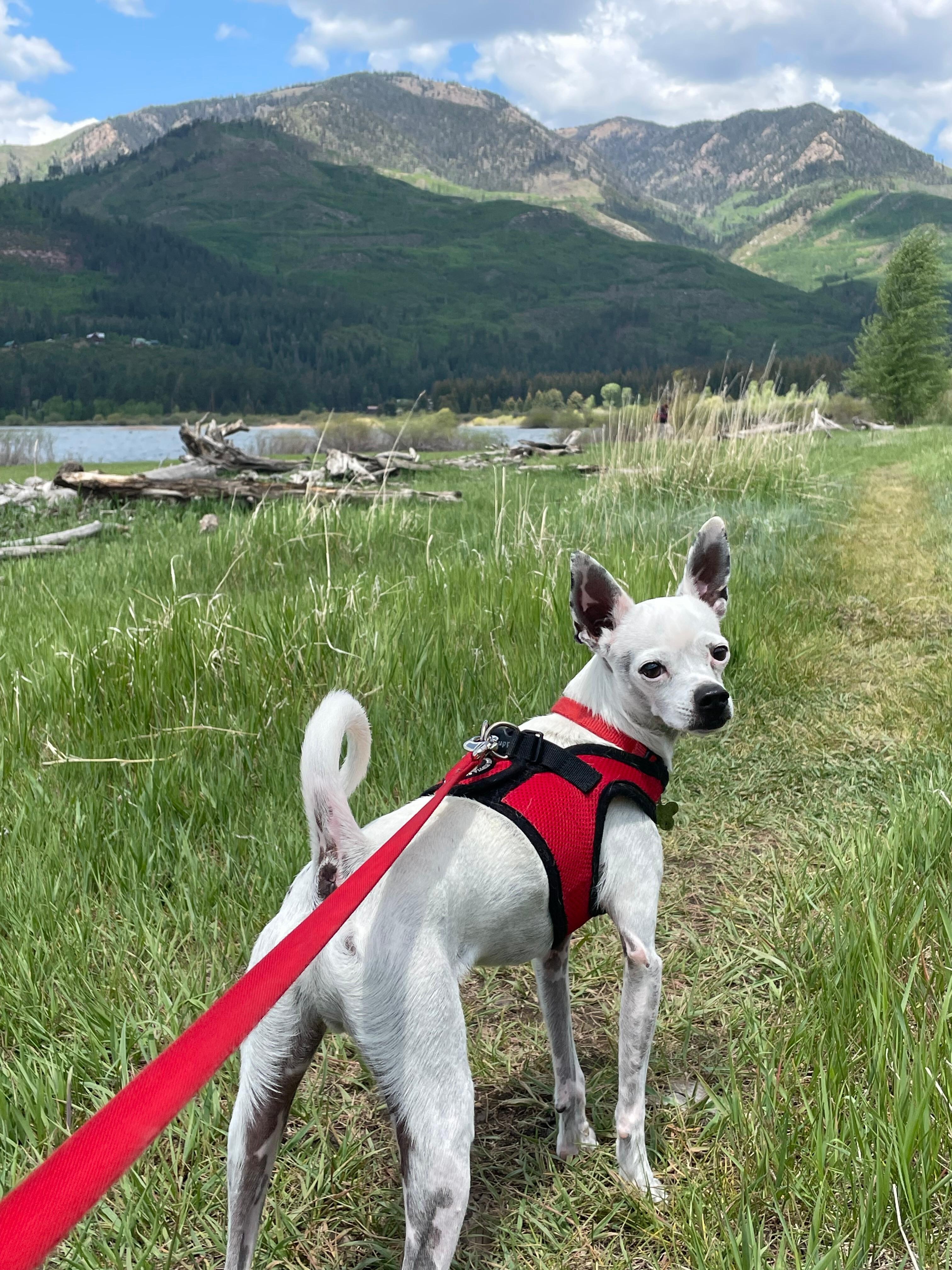 Hike around the lake when the rain cleared.