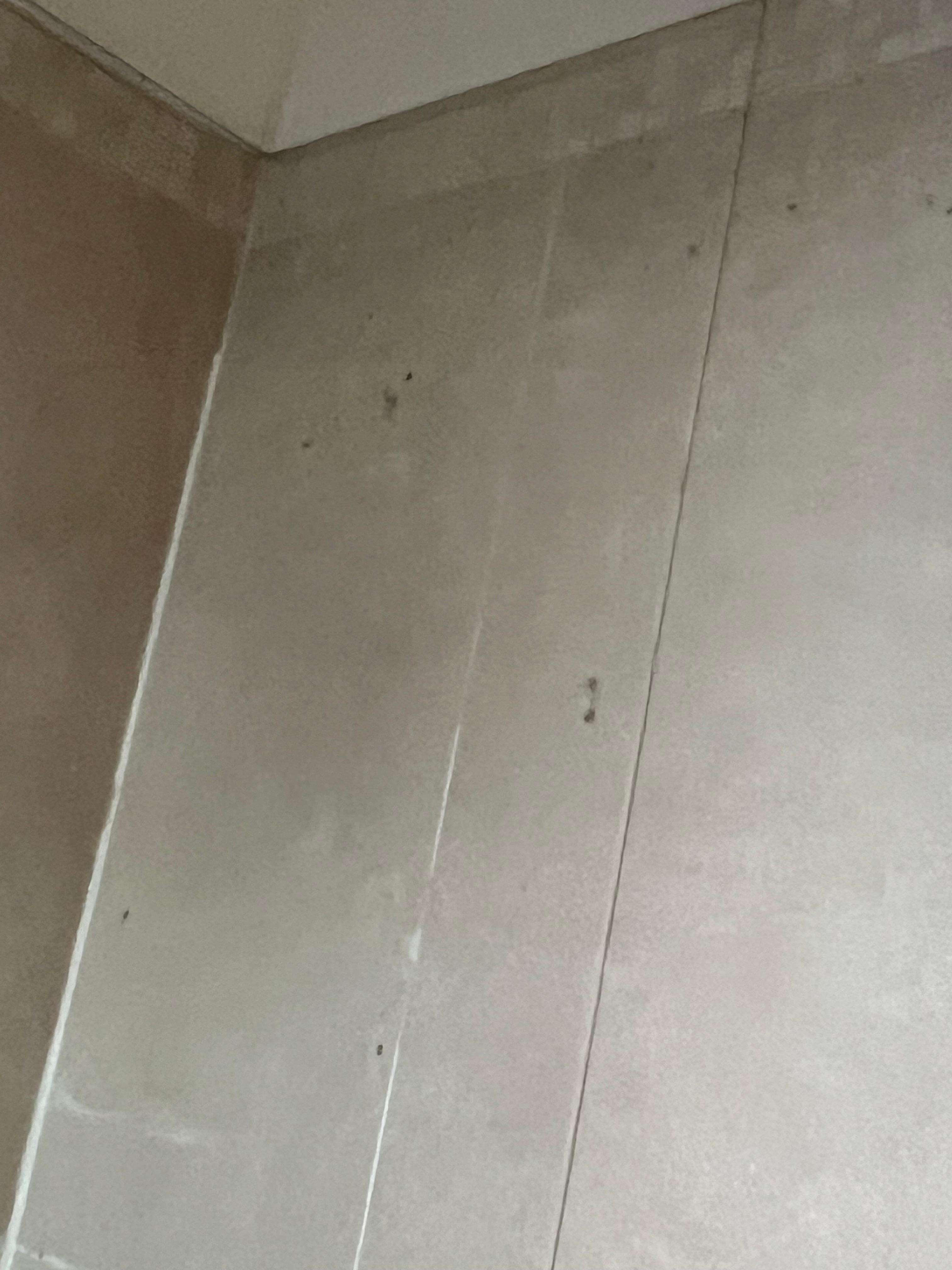 Mold in bathroom 