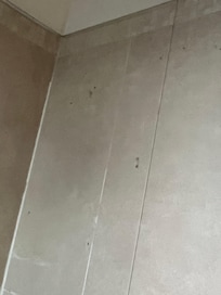 Mold in bathroom