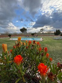 Blick auf den Pool aus der Küche