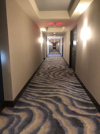 The hallway