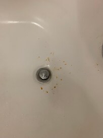 Rust in the tub