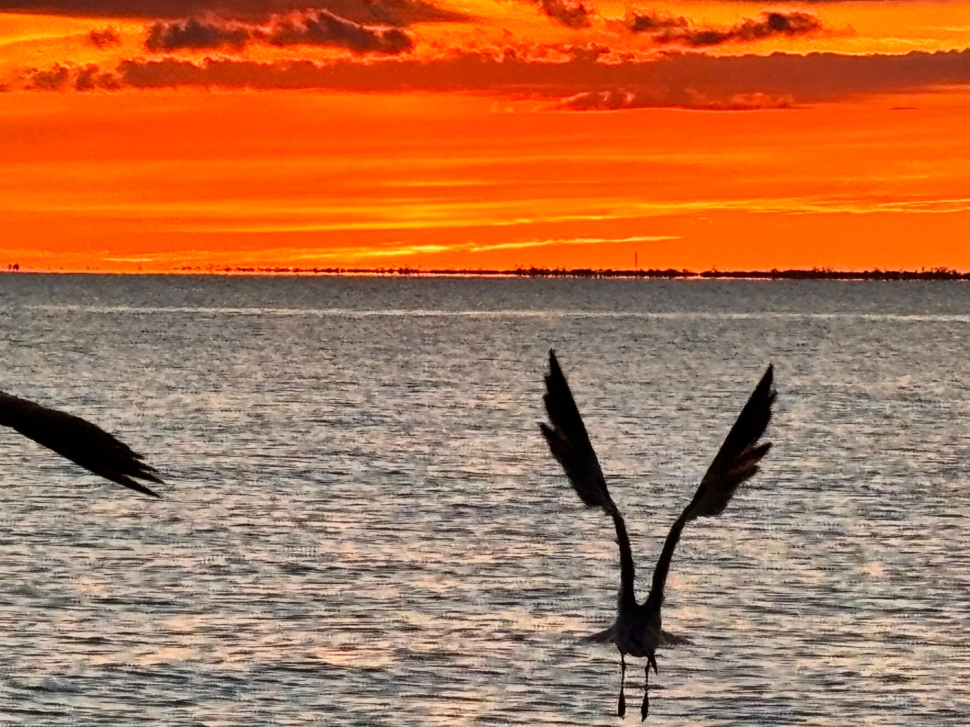 Sunset at the beach just across the street from the rental house! We had the beach to ourselves it was amazing!