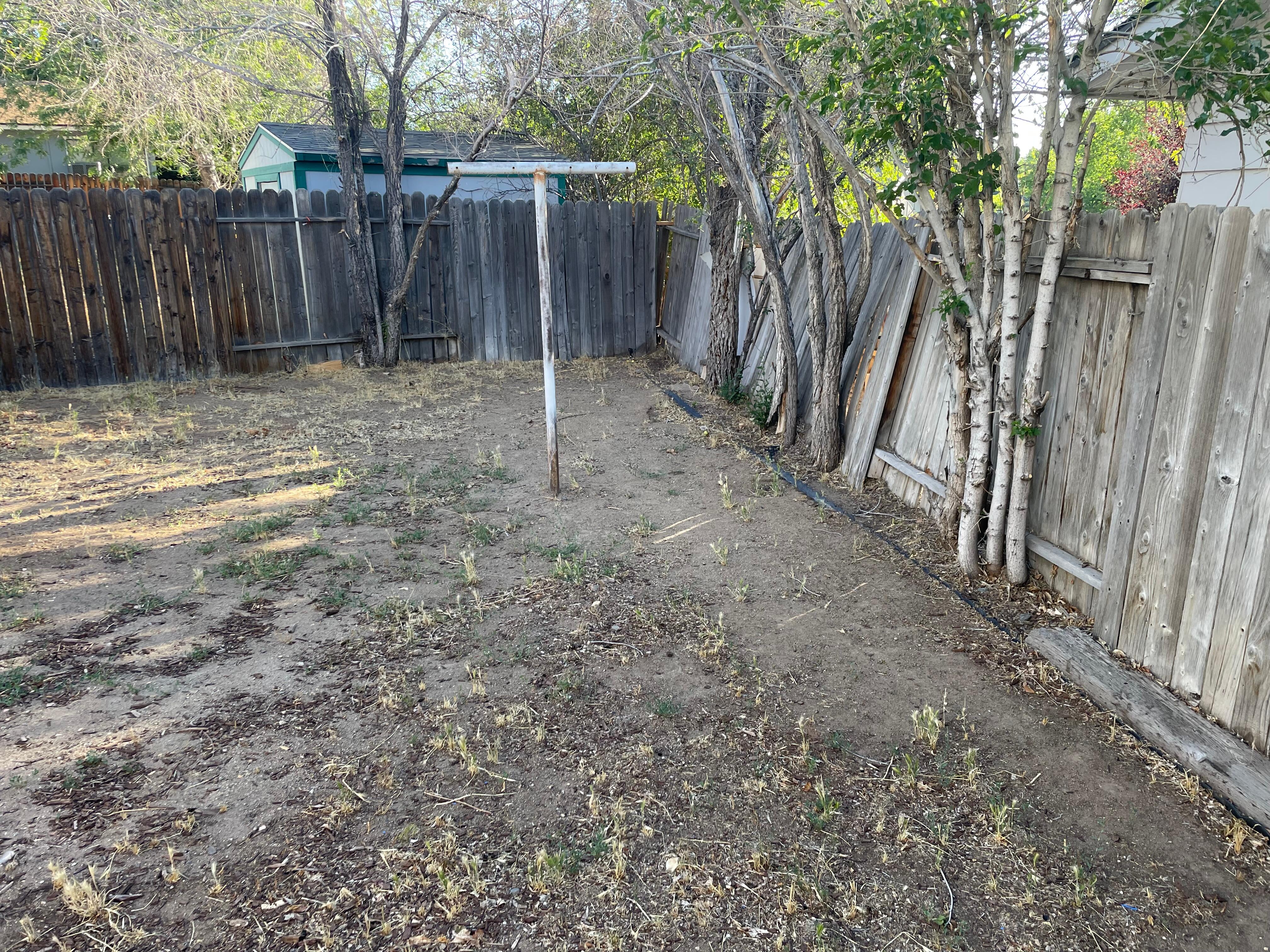 Unmaintained backyard
