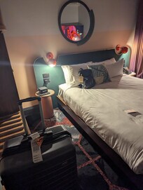 Bed