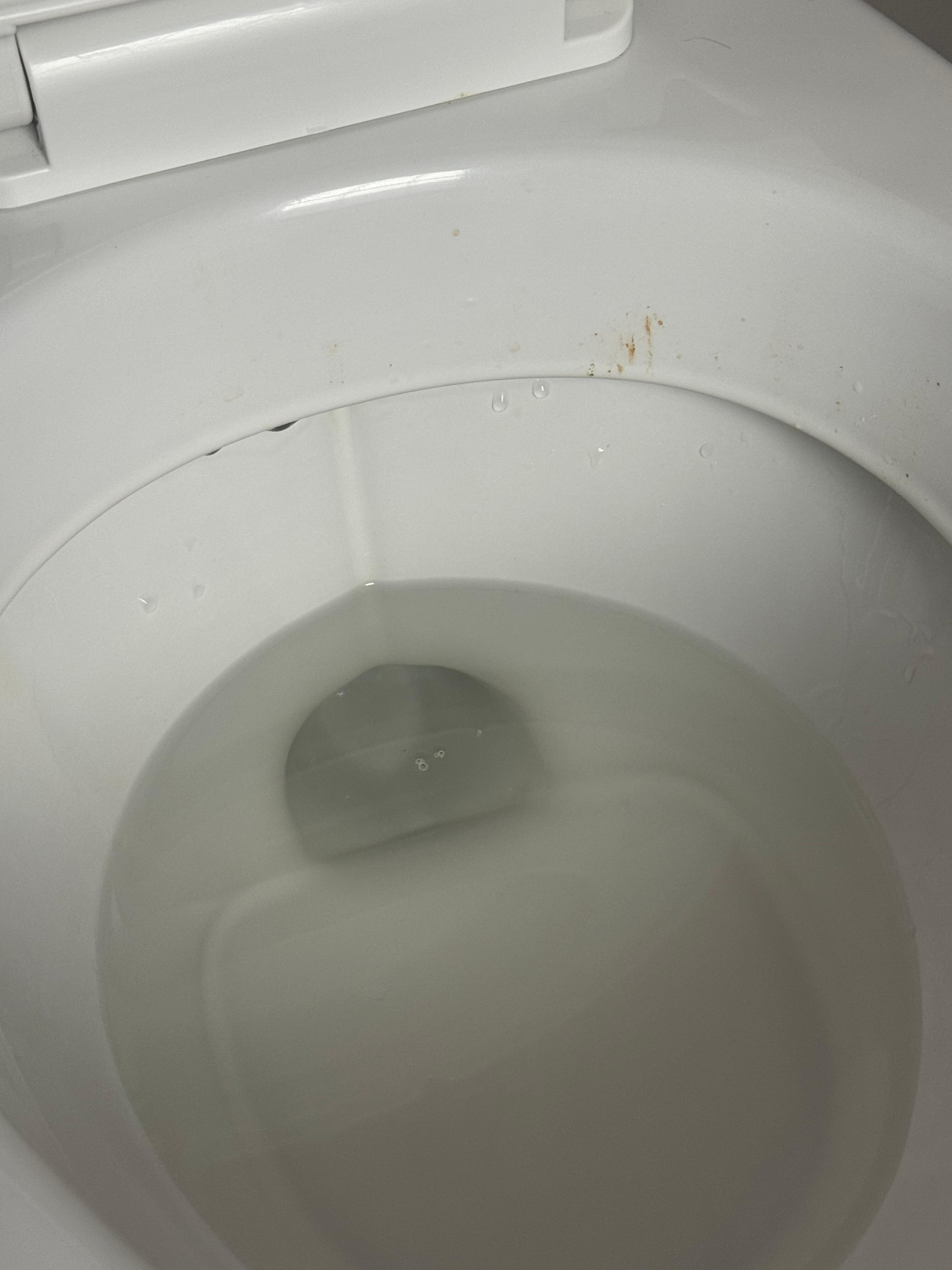 Dirty toilet at check in 