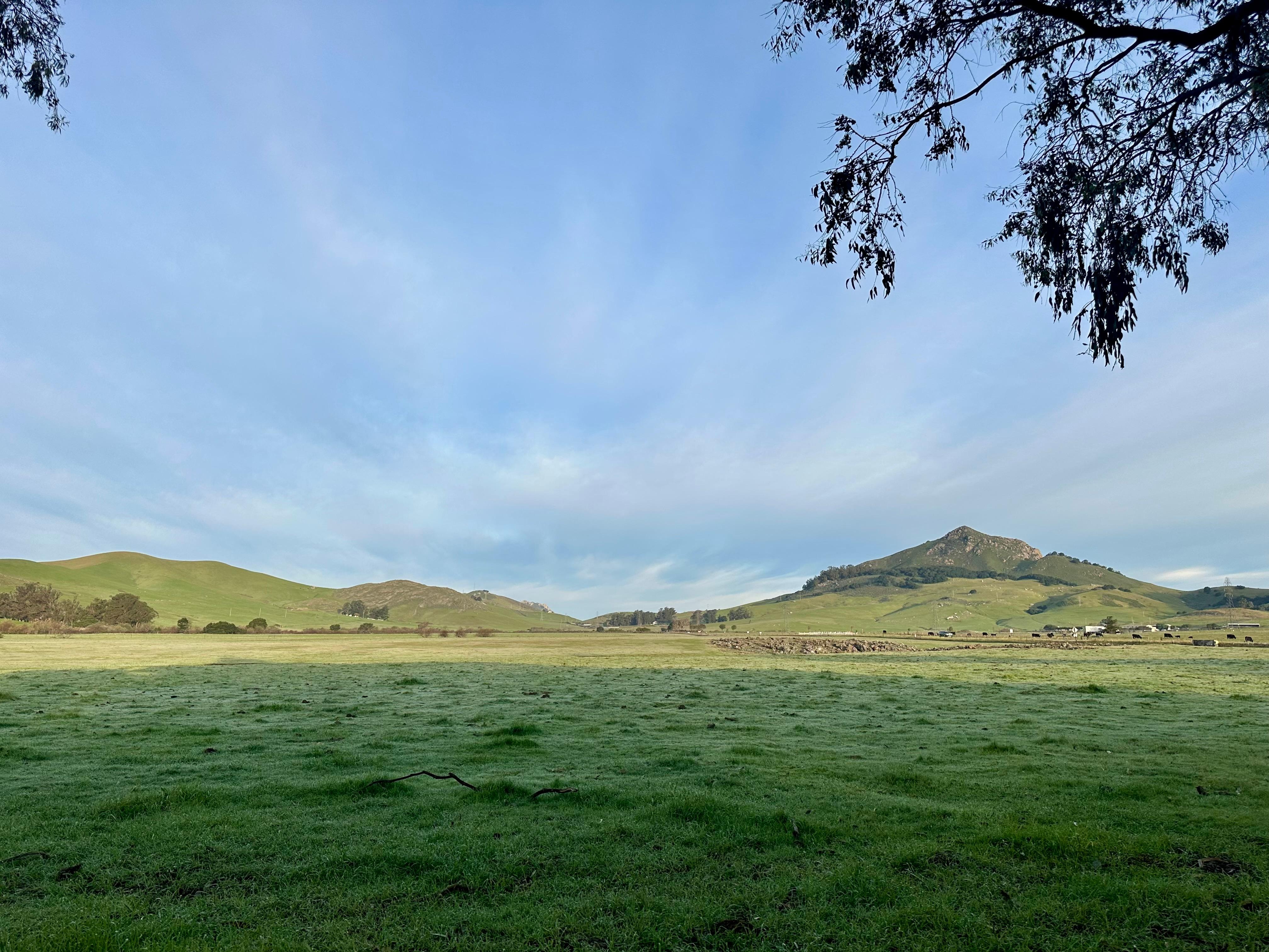 This is the view outside the living room window.  Gorgeous.