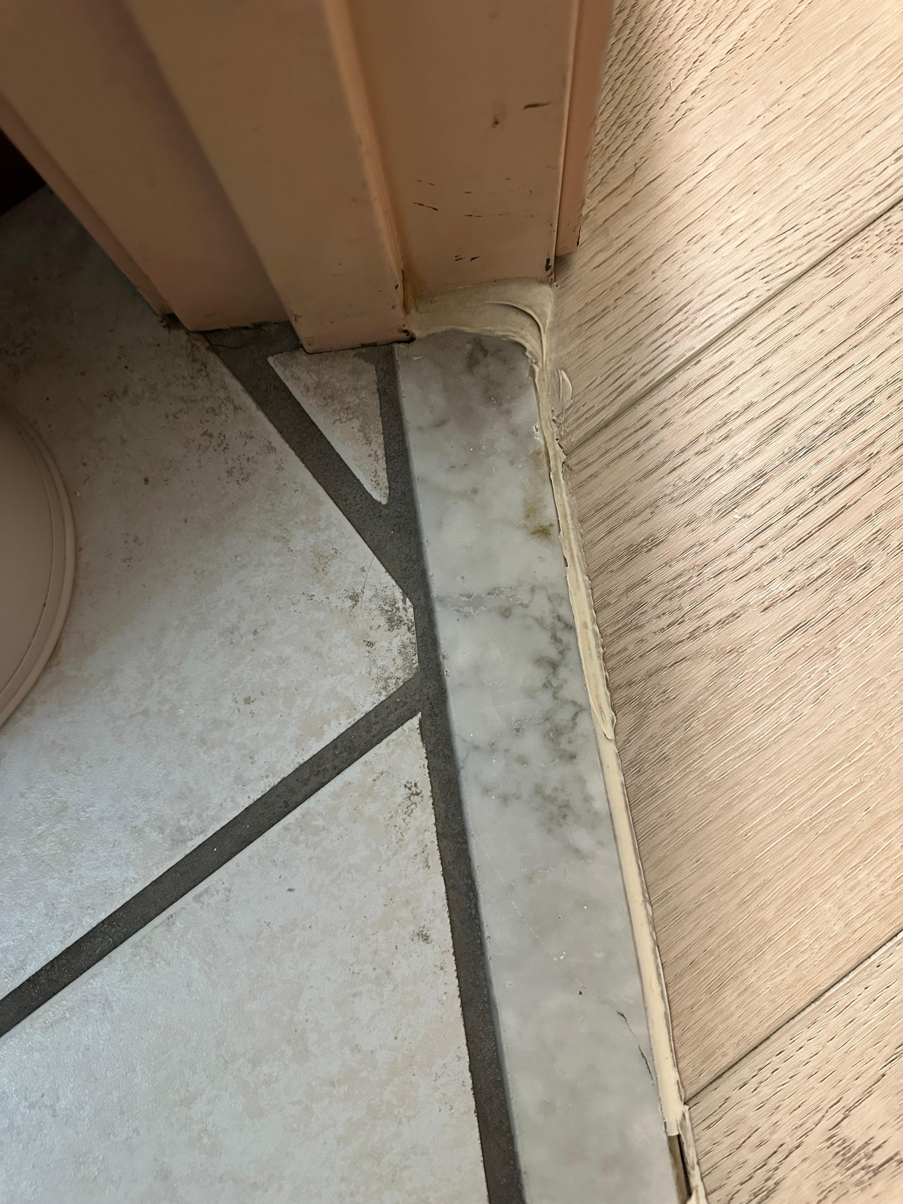 Mold/dirt on bathroom floors