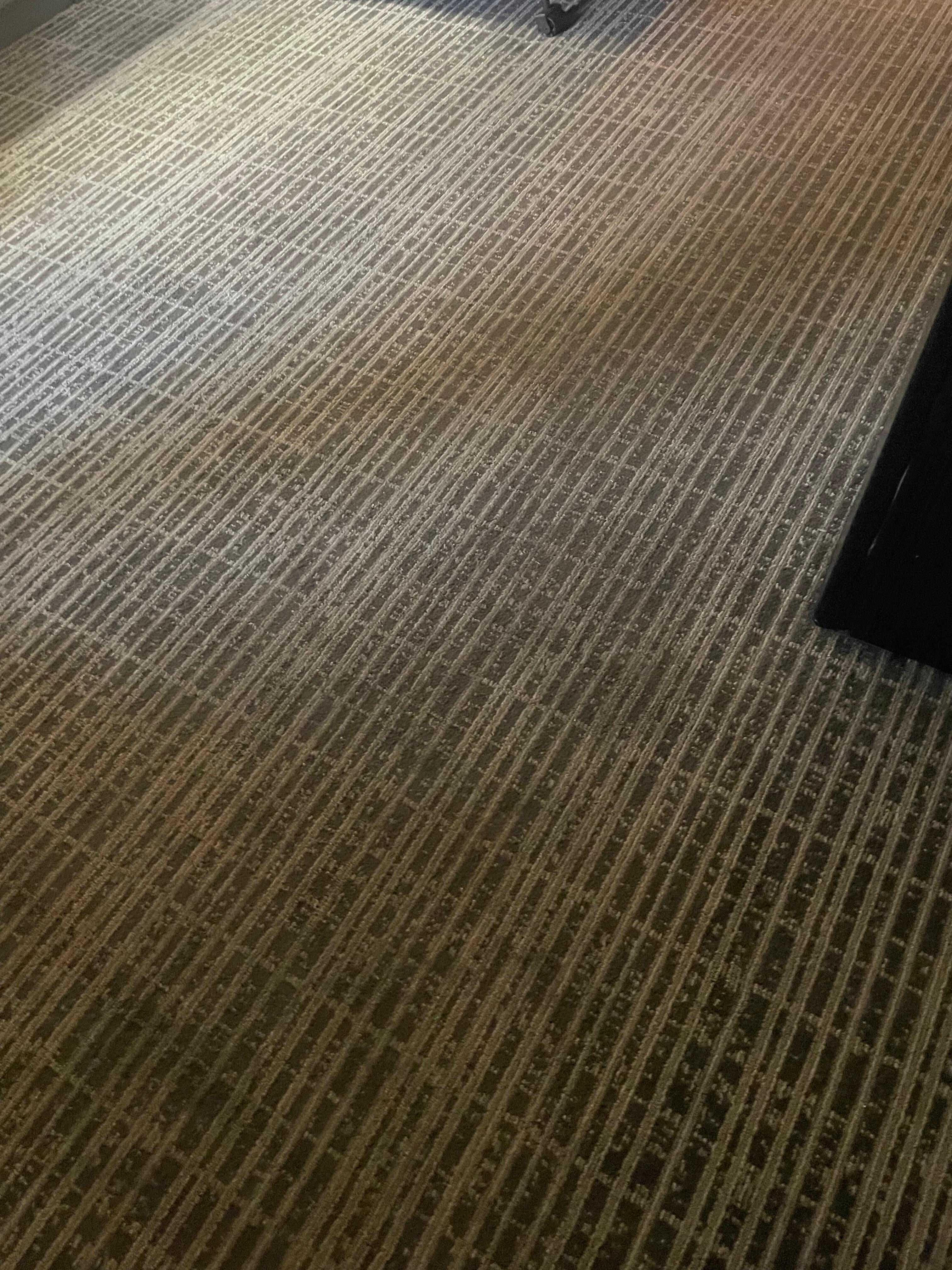Filthy carpet