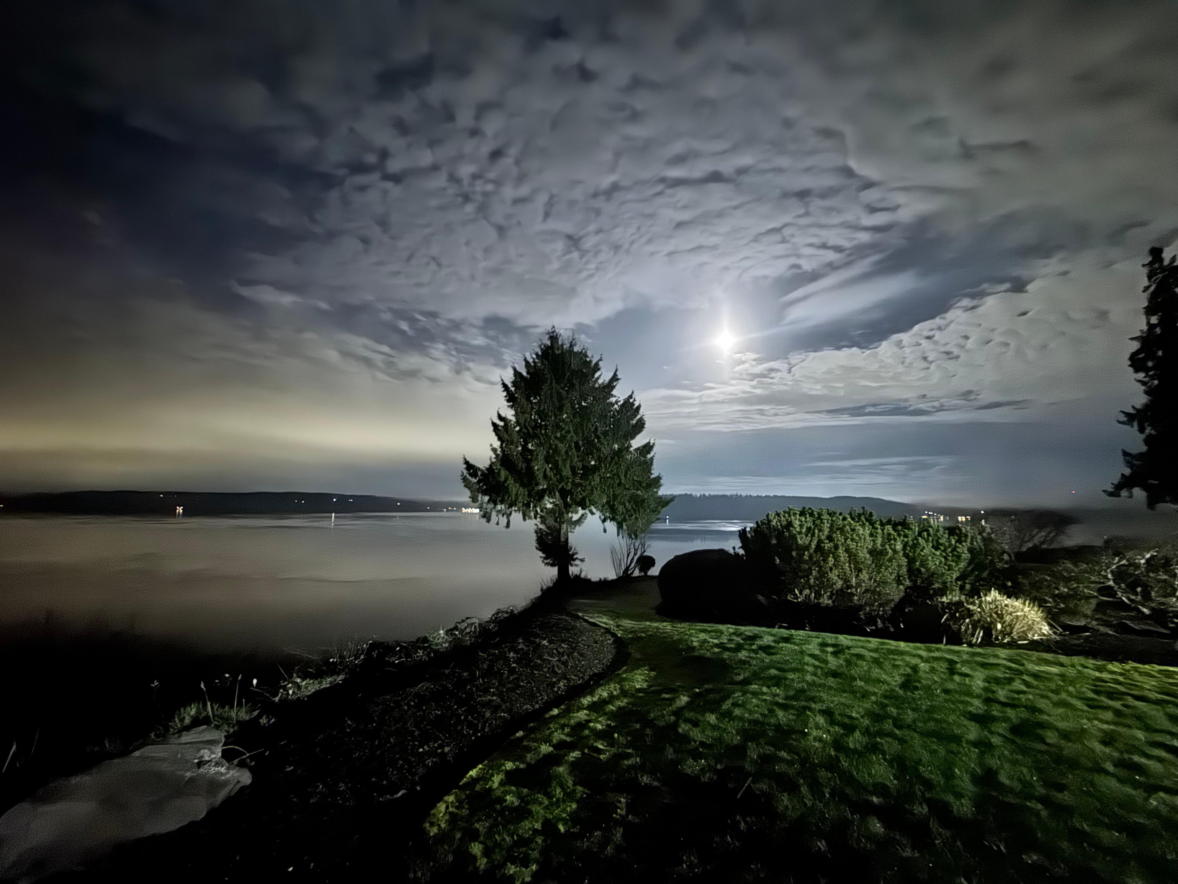 Night photo from backyard showing view with full moon
