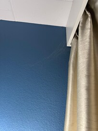 Dust bunnies in every corner of the room