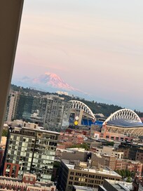 Glorious view of Mount Rainier at sunset.