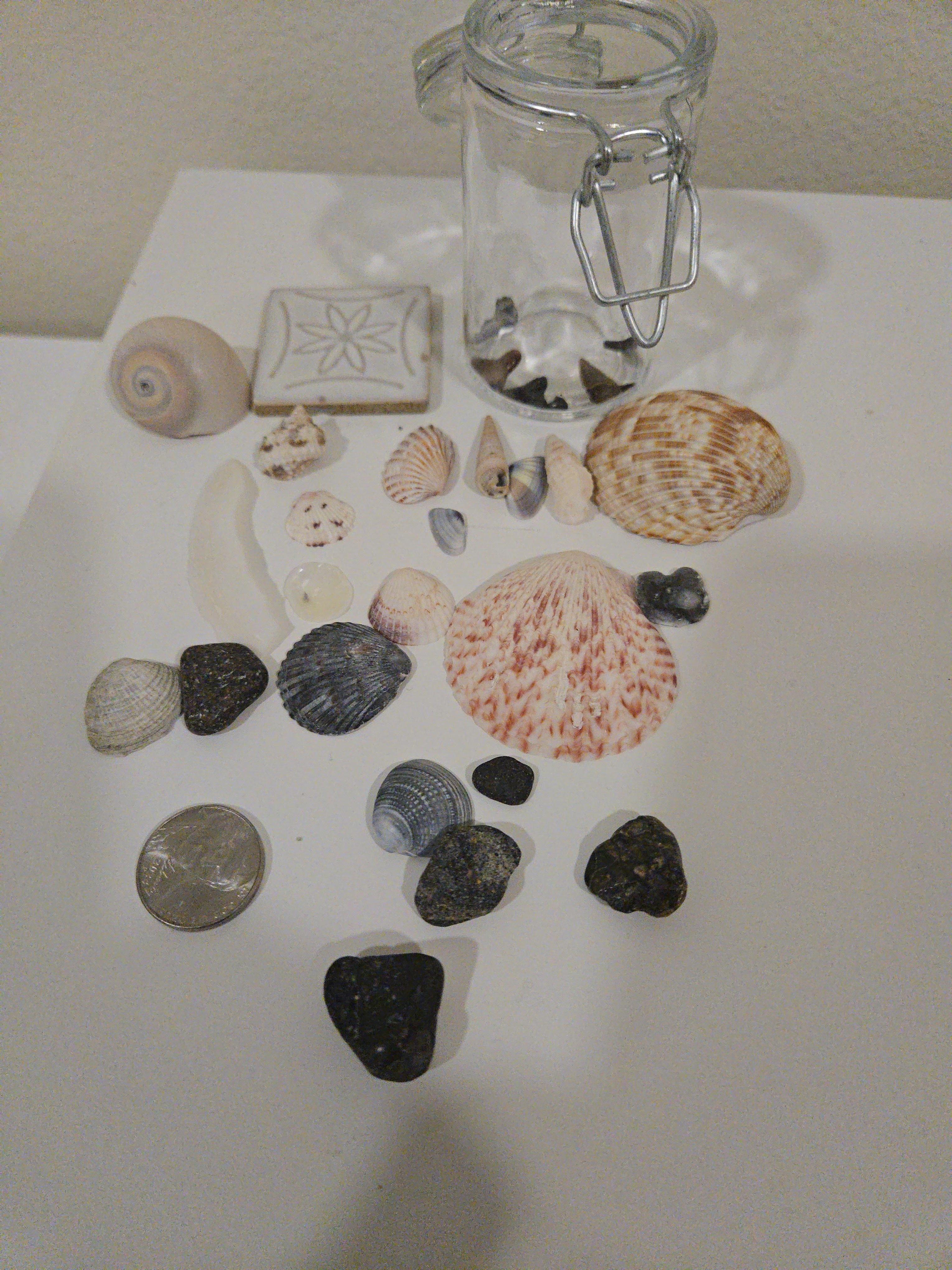 Beaches only about 40 minutes,  great for shark teeth enthusiasts.