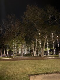 Lights by the Chateau
