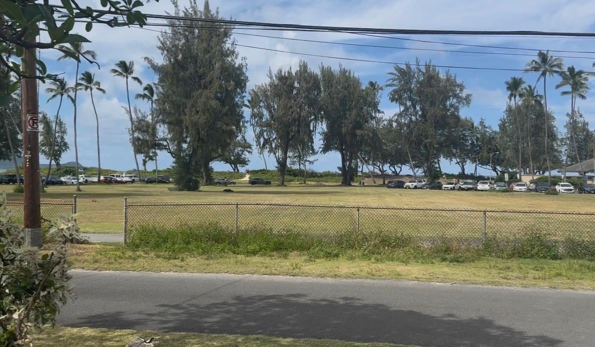 View of Kailua Beach Park from our front yard
