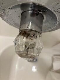 Mold in the fixtures in the bathrooms.