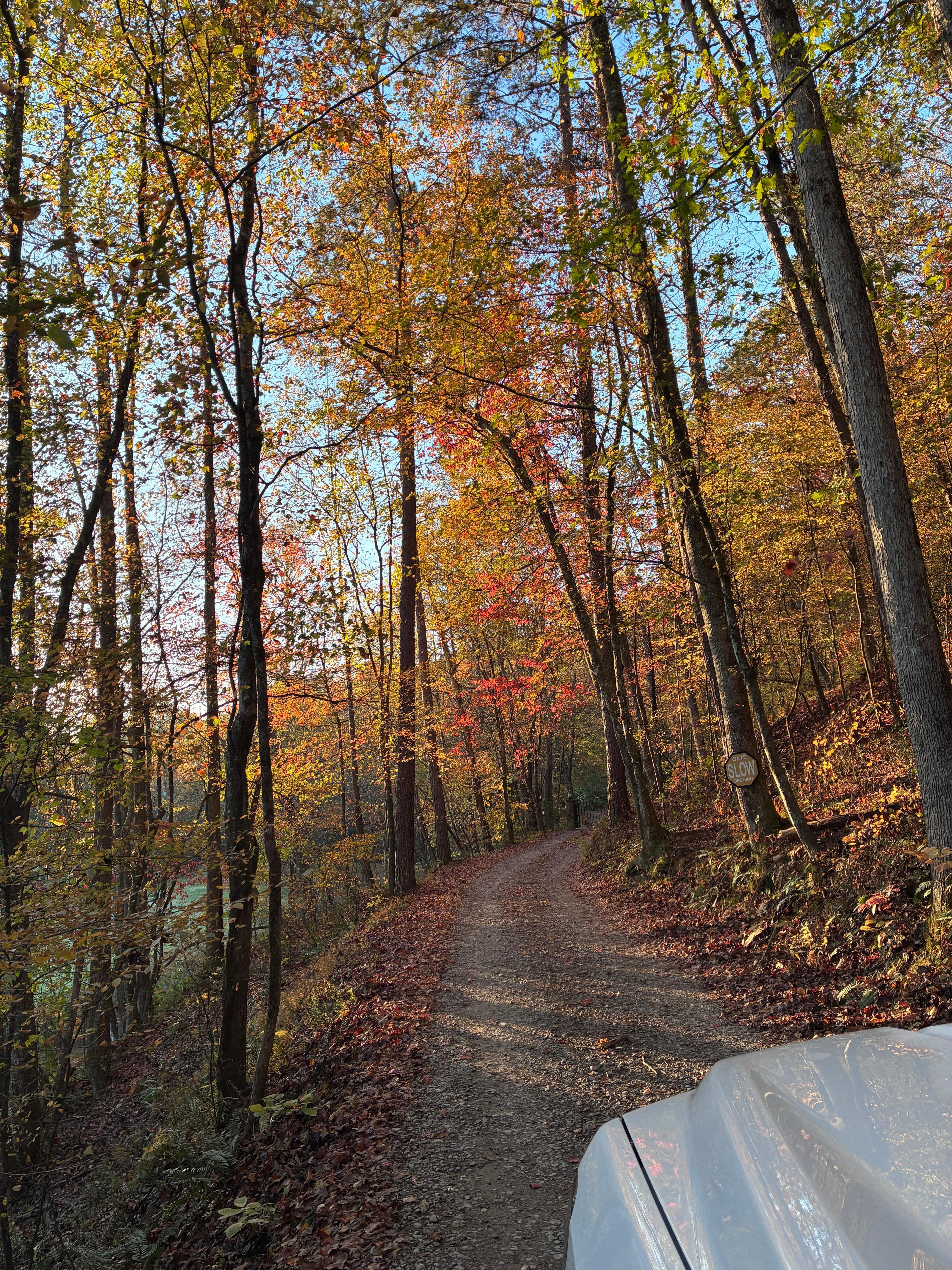 Drive in the private gate 