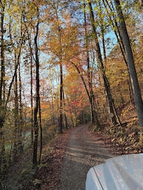 Drive in the private gate