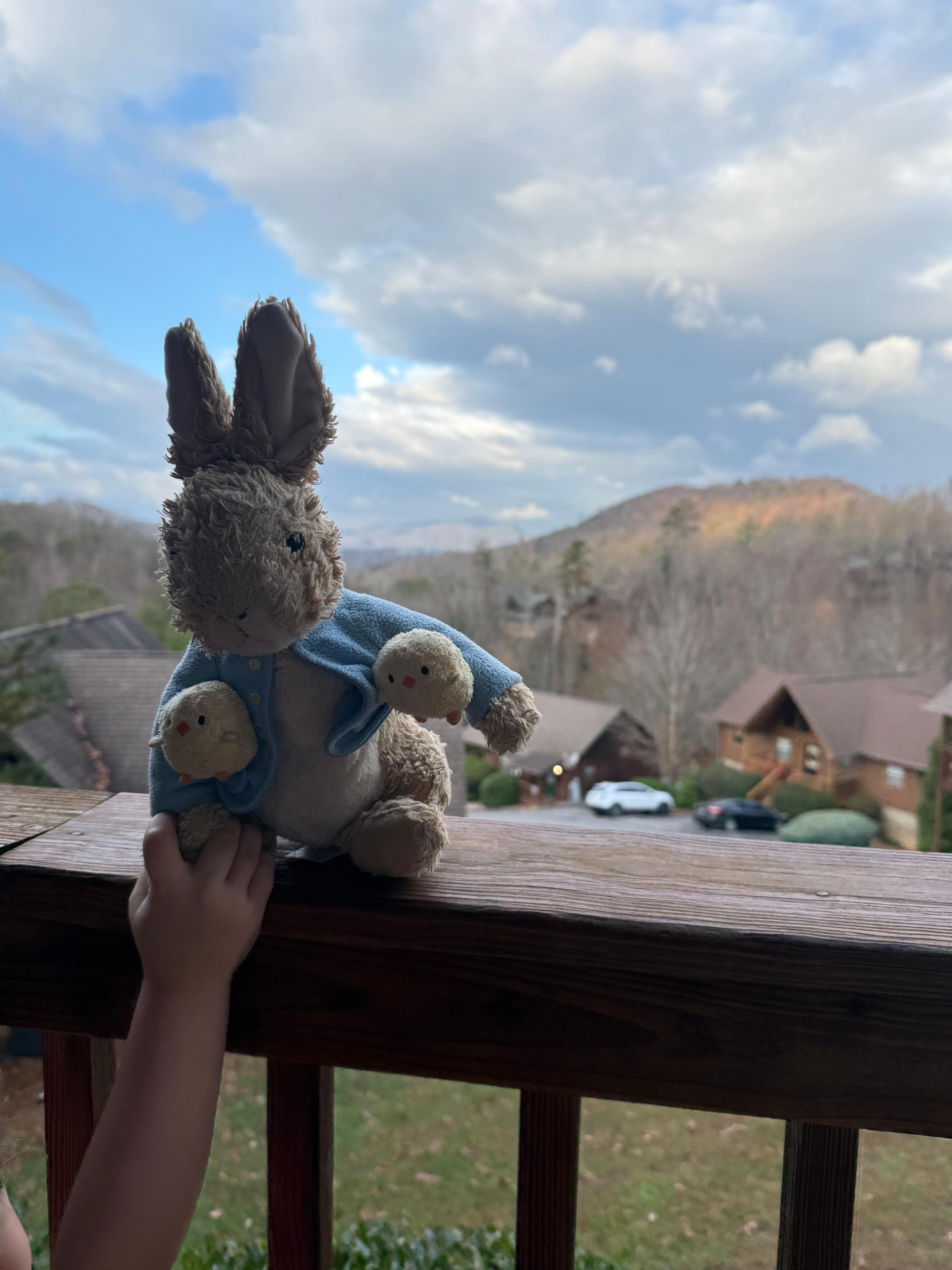 We loved our stay and beautiful views! 